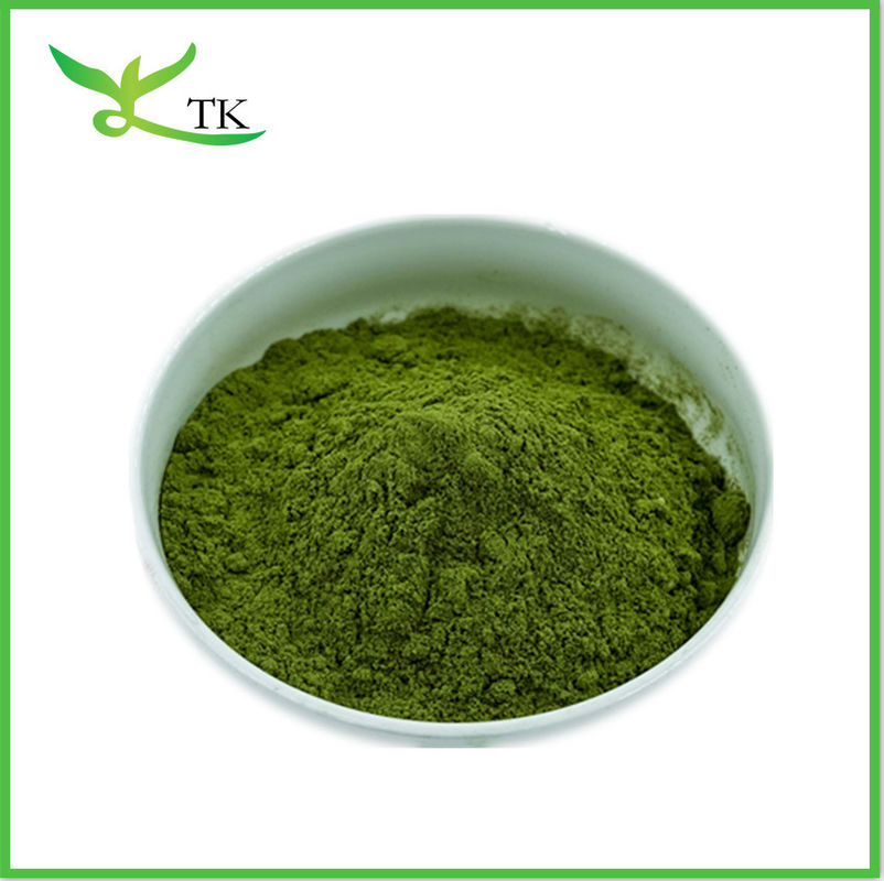 Plant Natural Wheat Grass Juice Powder Wheat Grass Extract Powder
