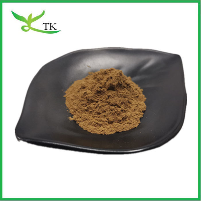 Horsetail Extract Powder With 7% Silicic Acid Equisetum Arvense Extract Powder