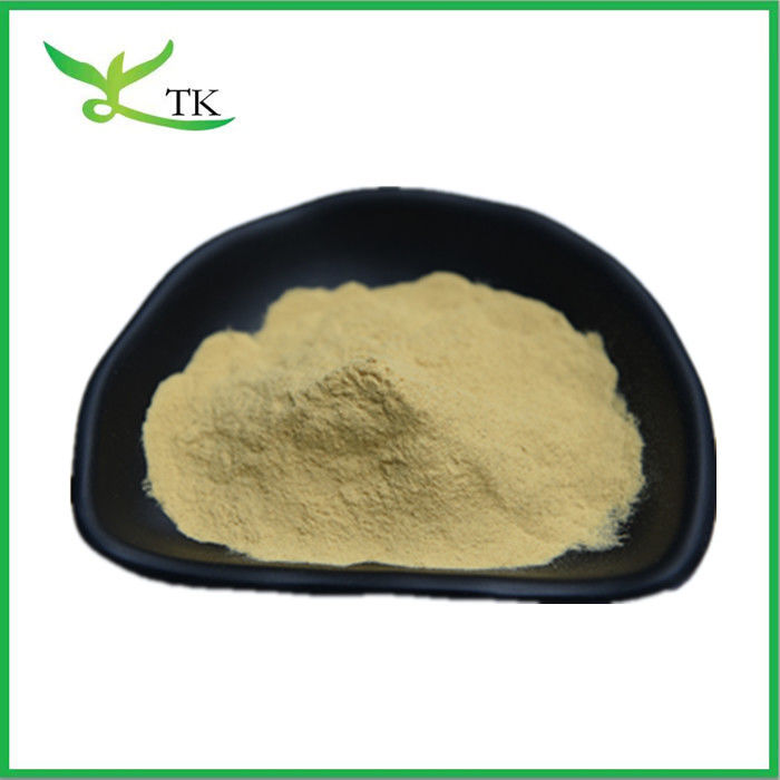 Natural Smoketree Extract Powder Fisetin Extract Powder 98% Pure Fisetin Powder