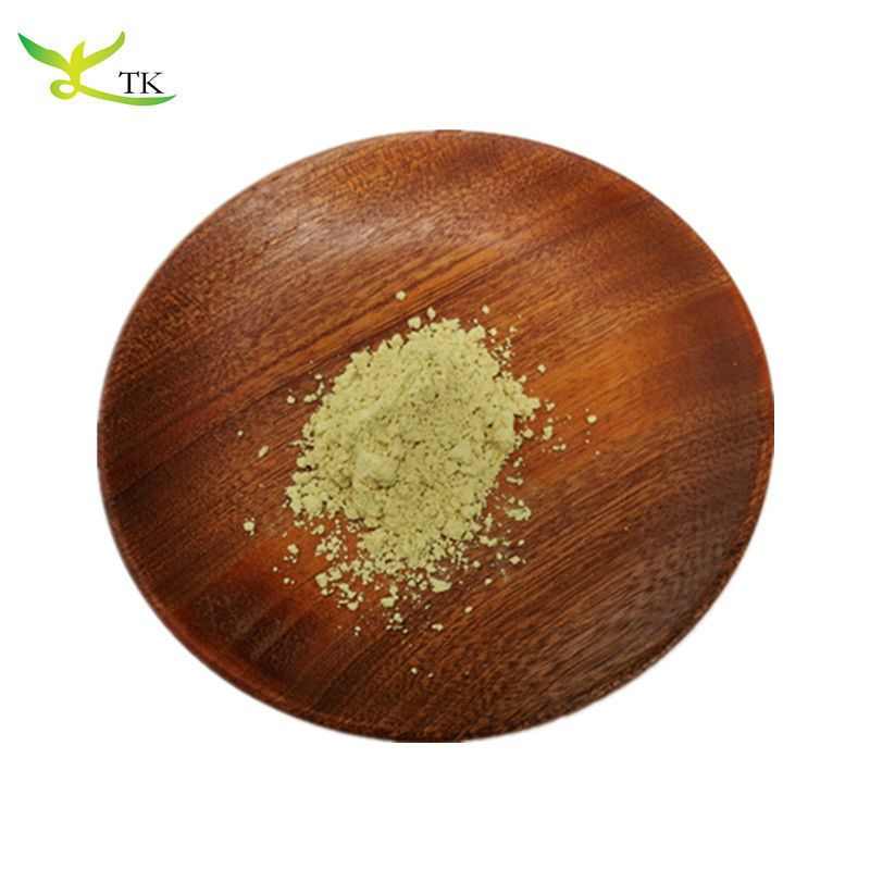 Natural Supplement CAS 153-18-4 Rutin Sophora Japonica Extract Powder 95% Rutin Powder