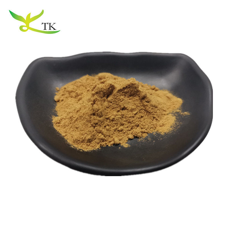 Best Price Natural Olive Leaf Extract Powder 20% 40% 70% Oleuropein In Stock