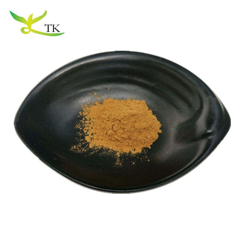 Factory Wholesale Price Red Clover Extract 8% Isoflavones Red Clover Extract Powder