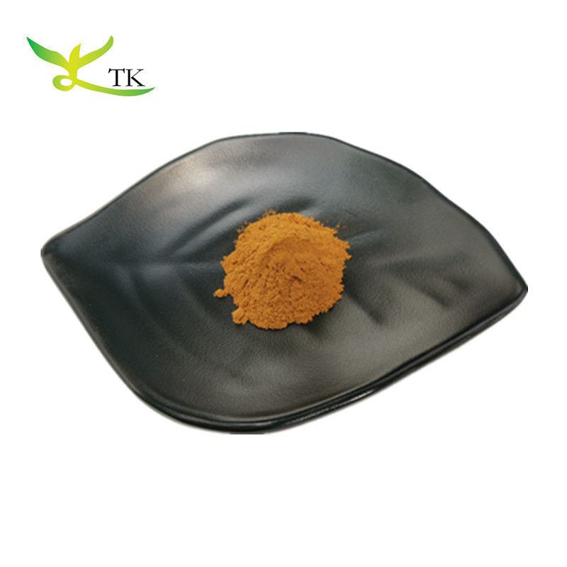 Natrual Plant Extract Rosemary Extract Powder Carnosic Acid Ursolic Acid Rosmarinic Acid