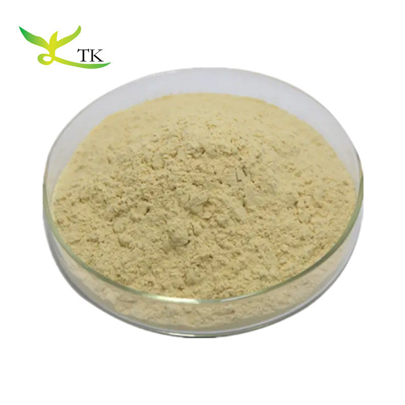 Natural Plant Extract Powder Antioxidant Taxifolin Dihydroquercetin 90% 98%