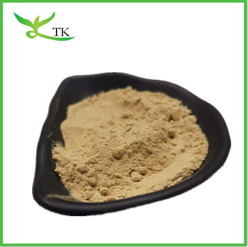 Health Coriander Extract Coriandrum Sativum Extract Cilantro Extract Coriander Powder