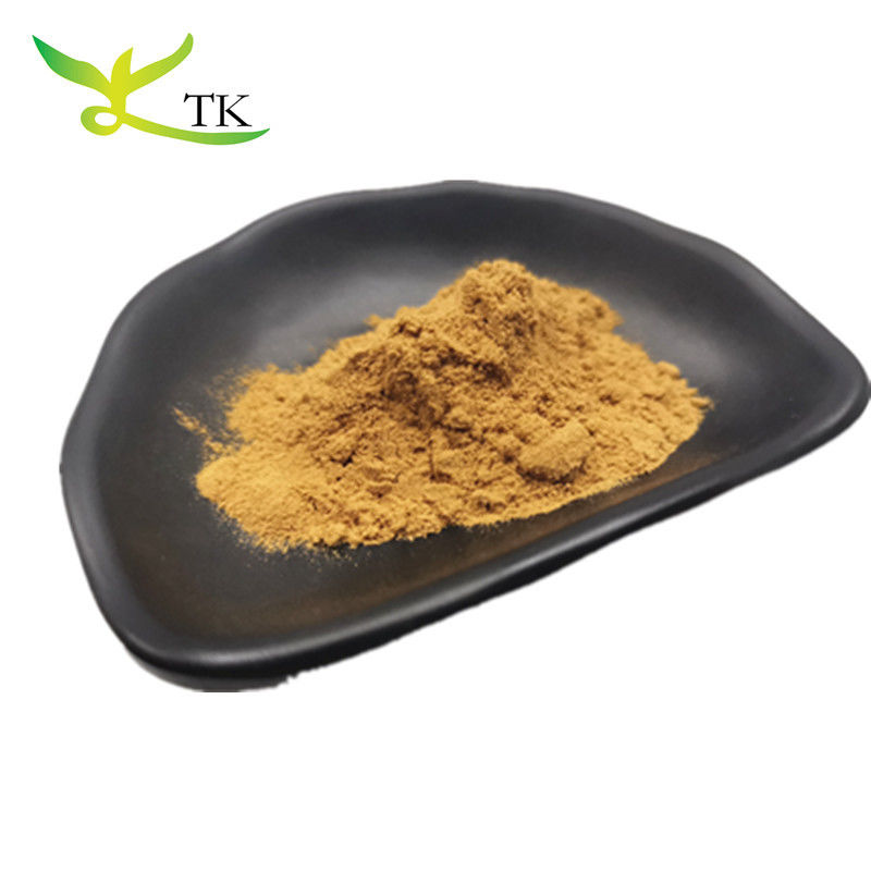 Wholesale Price Bulk Natural Plantago Asiatica L. Plantago Extract Powder Plantago Quata Extract