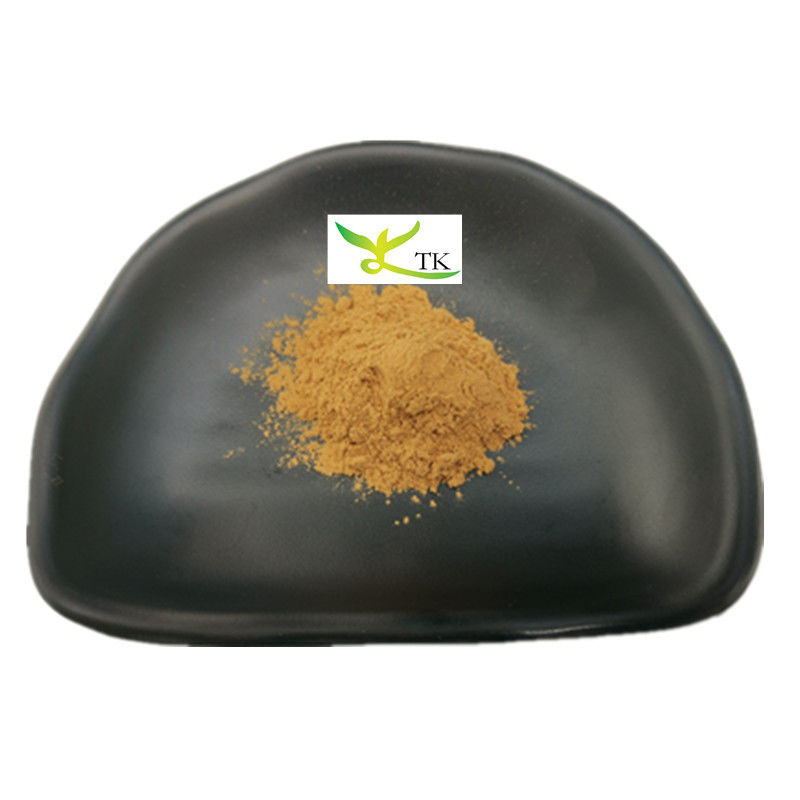 Wholesale Price Natural Cinnamon Extract Powder Cinnamon Bark Extract Powder Cinnamon Polyphenol
