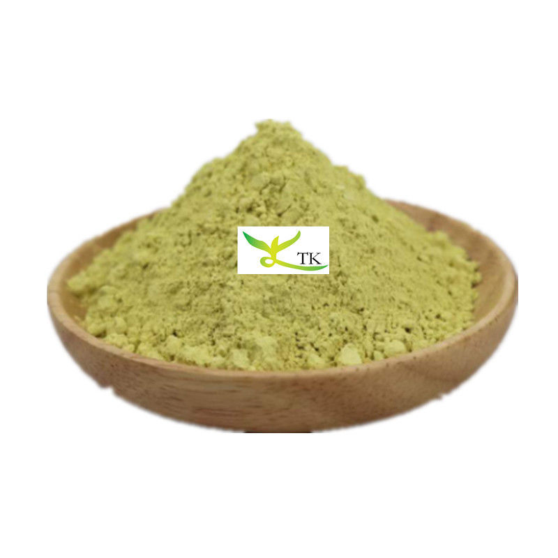 Best Quality Natural Plant Extract Sophora Japonica Extract Kaempferol 98% Kaempferol Price Bulk