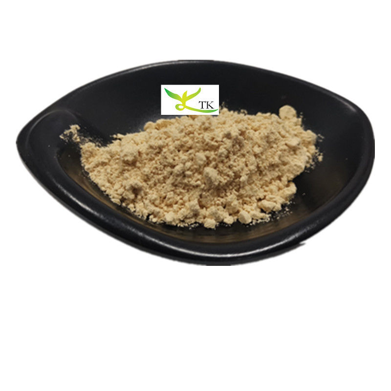 Natural Tremella Fuciformis Extract Powder White Tremella Mushroom Extract Polysaccharides 30%