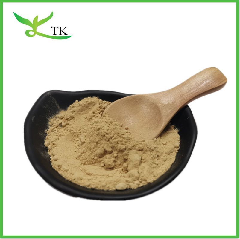 Wholesale Natural Total Saponins Powder 40% -98% Tribulus Terrestris Extract