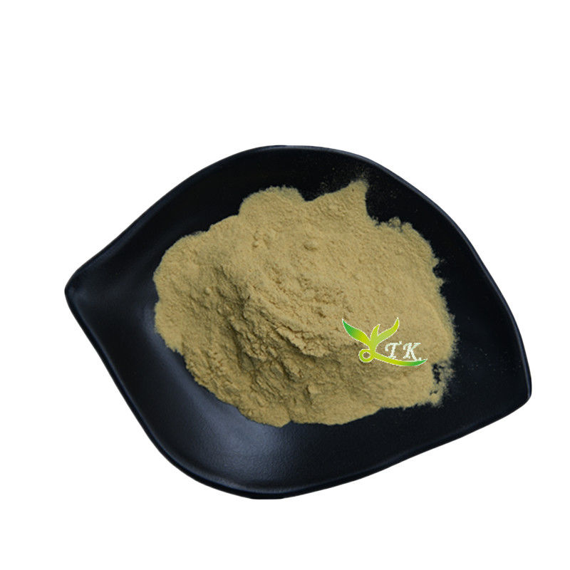High Purity Hawthorn Leaf Extract Powder Food Grade Hawthorn Leaf Powder