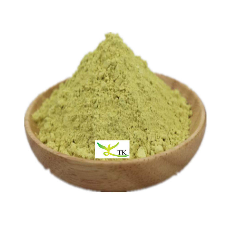 Wholesale Quercetin Price Natural Sophora Japonica Extract 98% Quercetin Powder