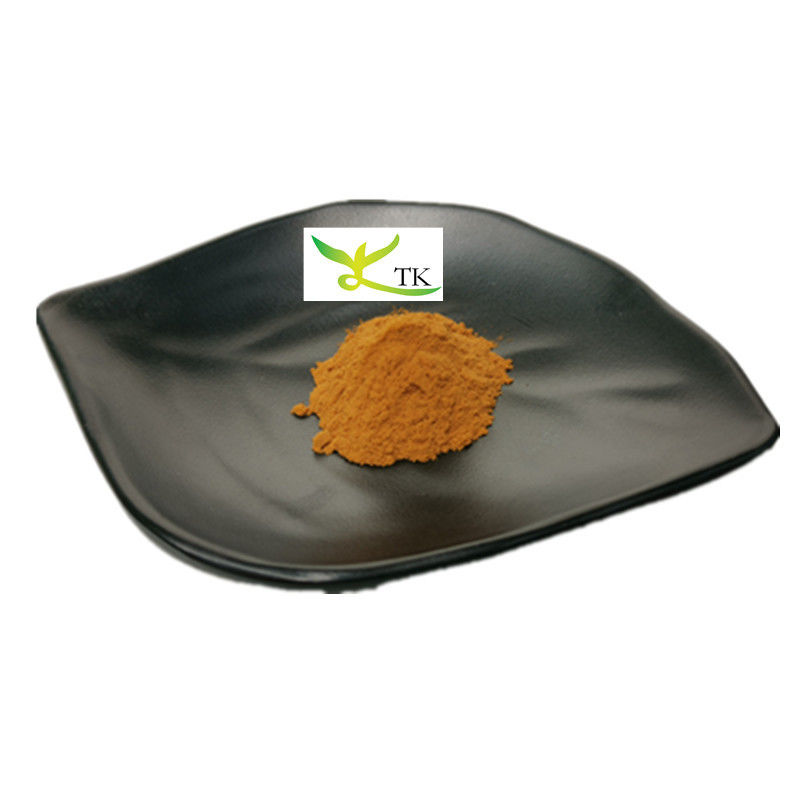 Wholesale Price Natural Ingredient Weight Loss 10:1 20:1 Senna Leaf Extract Powder Food Grade
