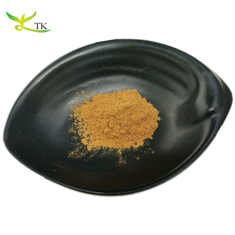 Wholesale Price Supply 100% Natural Mullein Leaf Extract For Lungs Mullein Extract Powder