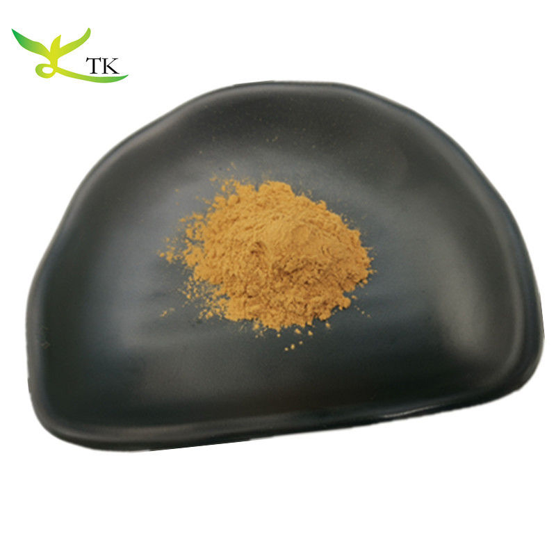 Wholesale Food Grade 100% Natural Amla Extract Powder 10:1 Phyllanthus Emblica Extract Powder