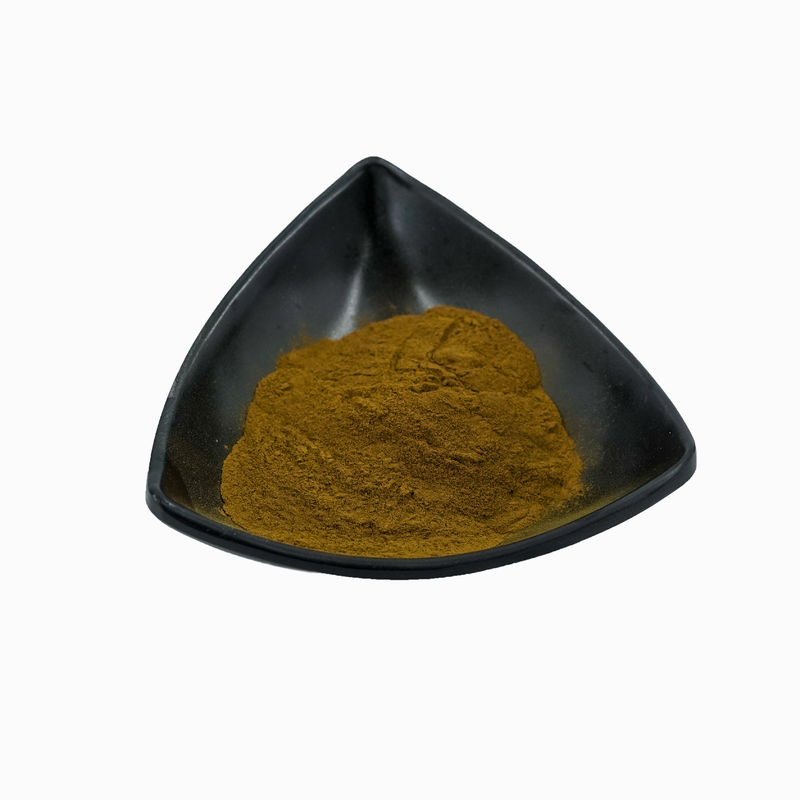 Private label Hericium Erinaceus Mushroom Extract Powder Hericium Erinaceus Powder