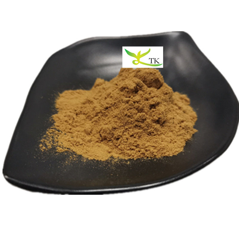 Pure Traditional Chinese Herb Angelica Sinensis Root Extract Powder Ligustilide 1%
