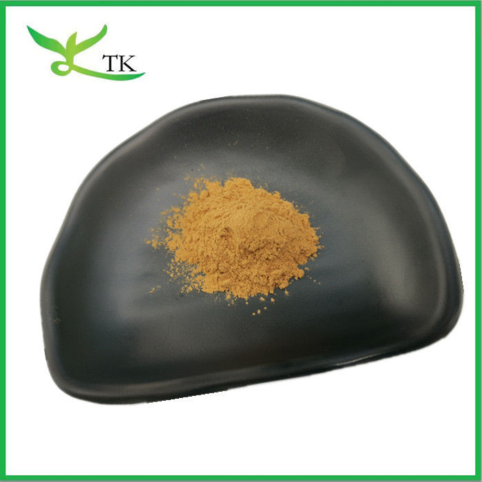 Natural Plant Extract Powder Malt Extract Powder Barley Malt Extract 10:1