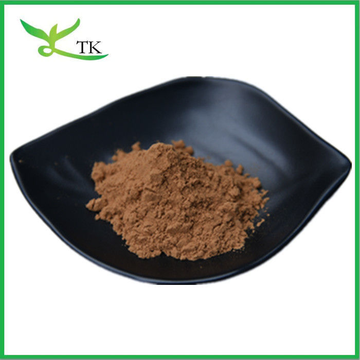 100% Natural Plant Extract Dandelion Root Extract Powder Dandelion Extract 10:1
