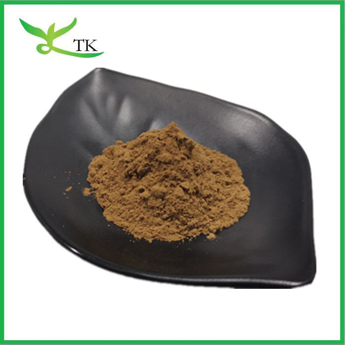 Wholesale Price Food Grade Black Tea Extract Powder For Beverage And Drink