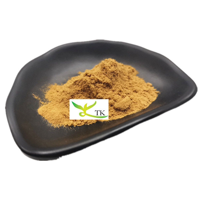 Wholesale Price Food Grade Natural Cactus Extract Cactus Extract Powder Bulk