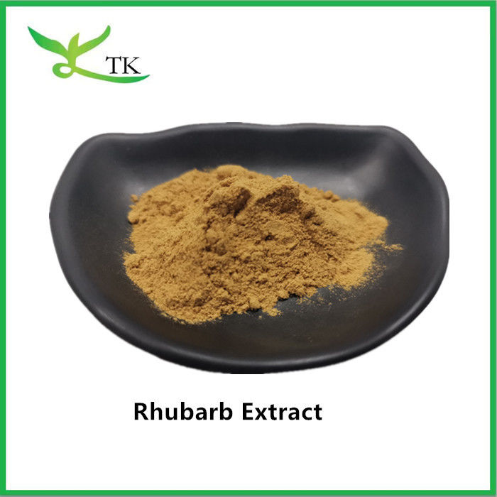 Natural Rhubarb Extract Rhubarb Root Extract Powder Rheum Palmatum
