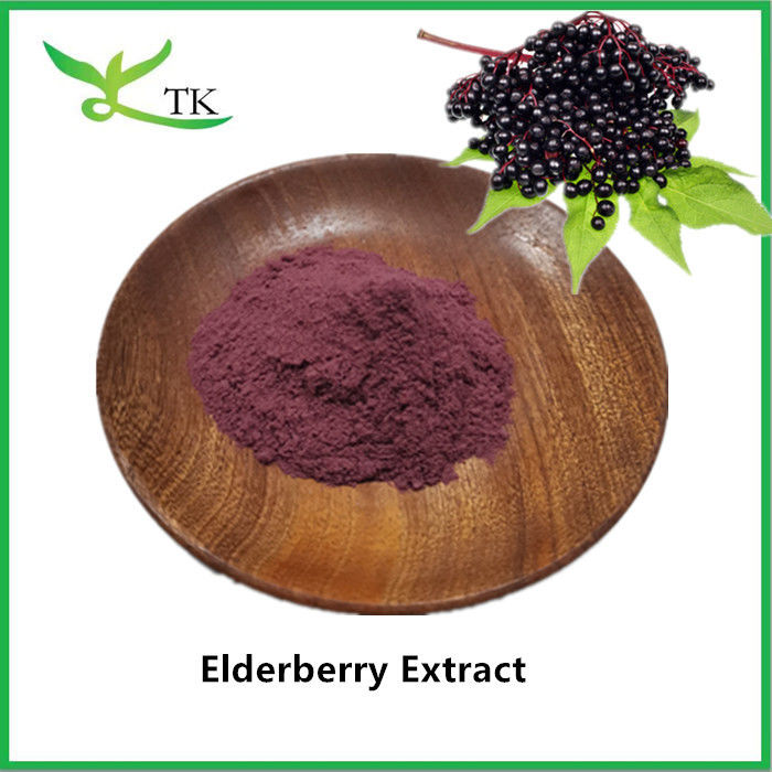 100% Natural Elderberry Extract Powder Black Elderberry Extract Elderberry Powder