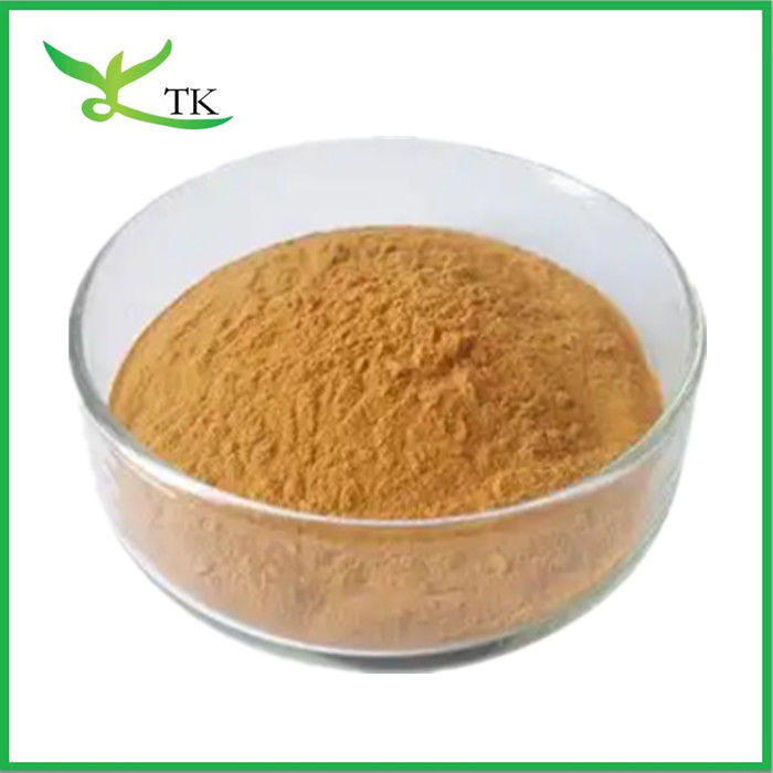 Food Grade 100% Natural Pygeum Africanum Bark Extract Prunus Africana Extract Powder