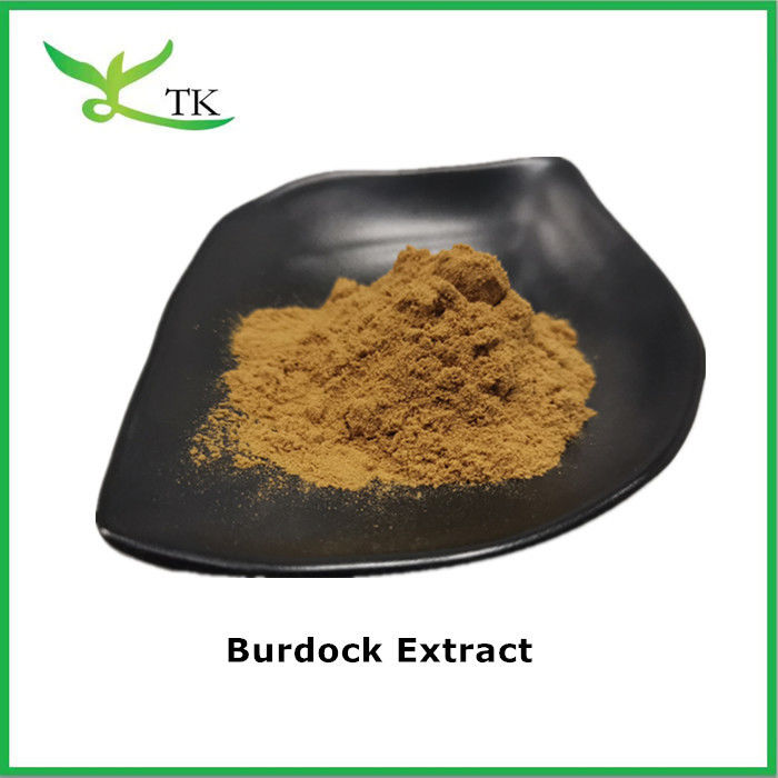 Pure Natural Botanical Extract Burdock Root Extract 4:1 Burdock Extract