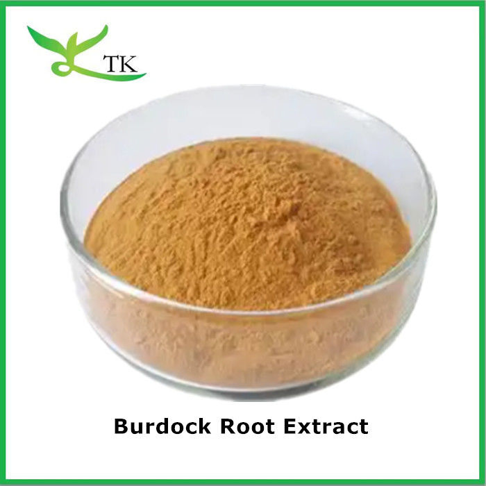 Natural Botanical Herbal Powder Arctium Lappa Root Extract Burdock Root Powder