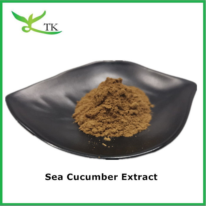 Pure Natural Supplement Sea Cucumber Extract Powder Polypeptide Peptide