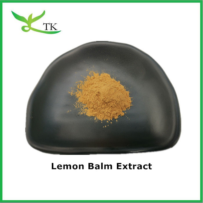 Pure Natural Lemon Balm Extract Lemon Balm Dry Extract Powder