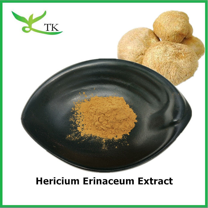 Food Grade Pure Natural Hericium Erinaceum Extract Hericium Erinaceum Powder