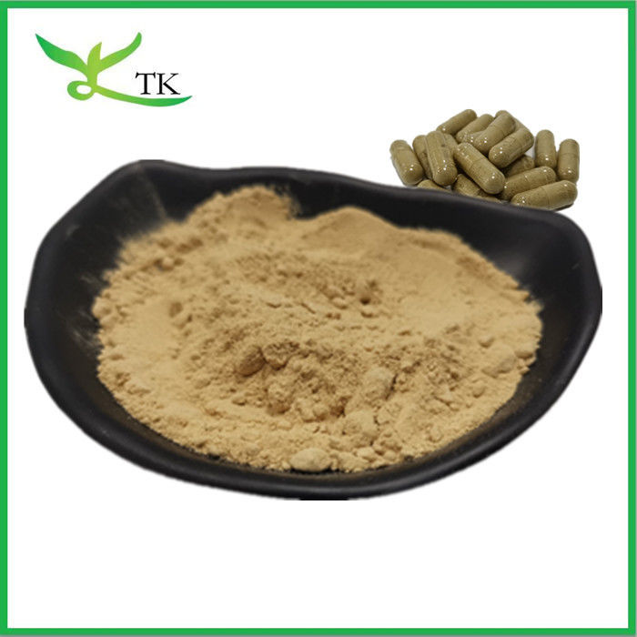Wholesale Price Natural Food Grade Brown Seaweed Extract Kelp Extract Powder Bulk
