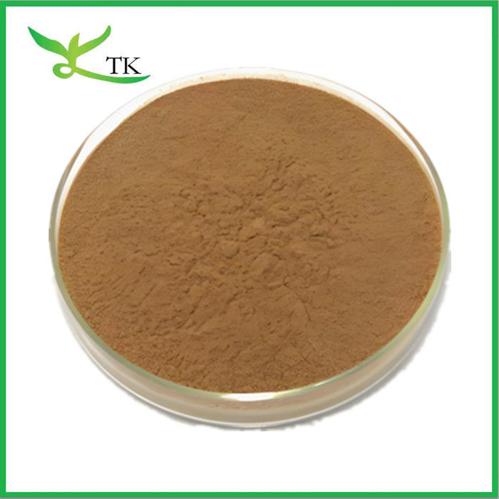 Wholesale Price 100% Natural Saponaria Officinalis Root Extract Powder Bulk