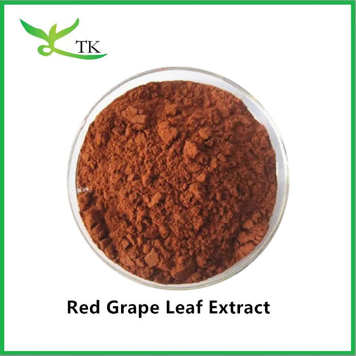 Food Grade 100% Natural Red Grape Leaf Extract Powder Grapevine Extract