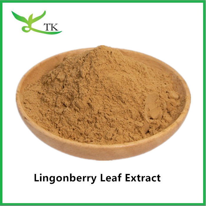 100% Natural Lingonberry Leaf Extract Vaccinium Vitis-idaea L Extract Powder