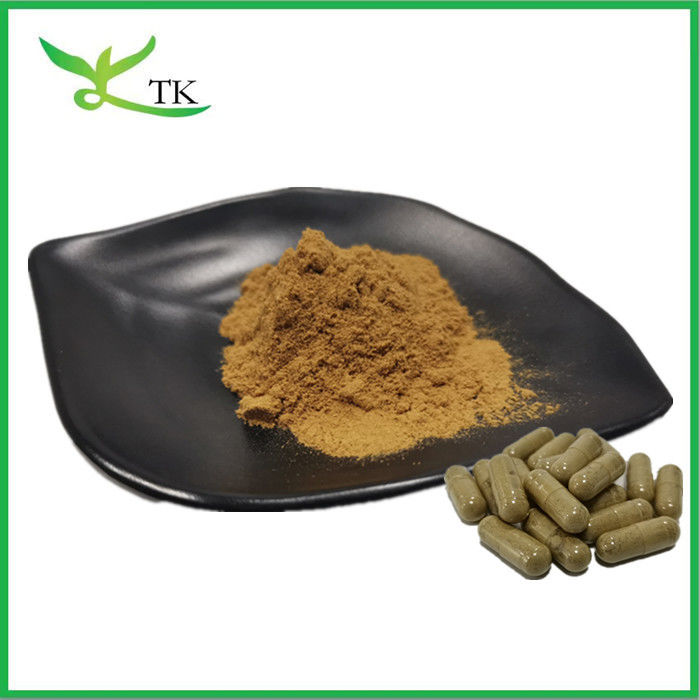 Natural TCM Scleromitrion Diffusum Extract Hedyotis Diffusa Extract Oldenlandia Diffusa Extract Powder