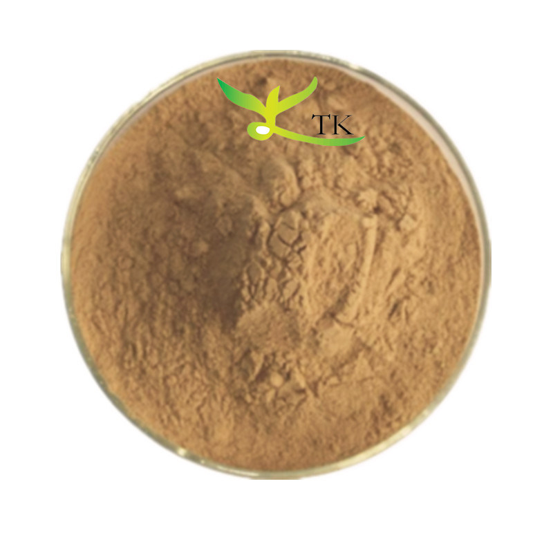 Wholesale 100% Natural Curry Leaves Extract Powder For Hair Curry Leaf Extract Powder