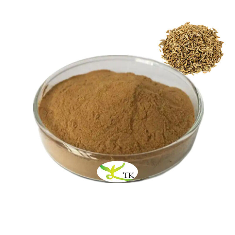 Natural Food Grade Fennel Extract Powder 4:1 10:1 Fennel Seed Extract Price