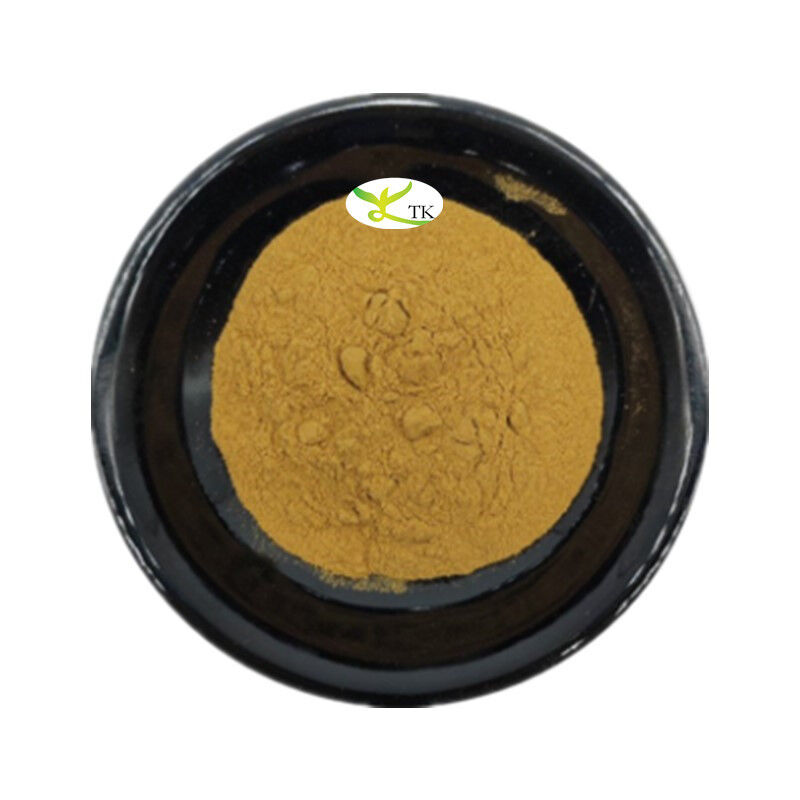 100% Natural Horseradish Root Extract Powder Dried Horseradish Powder