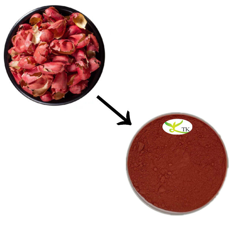 Wholesale Price Natural Peanut Skin Extract 95% Proanthocyanidins Powder Bulk