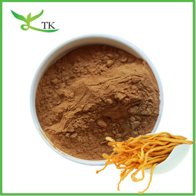 प्राकृतिक मशरूम निकालने पाउडर Cordyceps Militaris निकालने पाउडर Polysaccharide Cordycepin