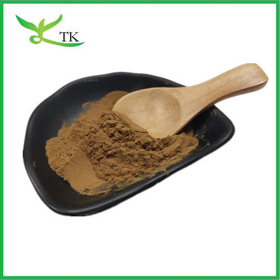 प्राकृतिक पौधे निकालने Coleus Forskohlii रूट निकालने पाउडर 20% 98% Forskolin
