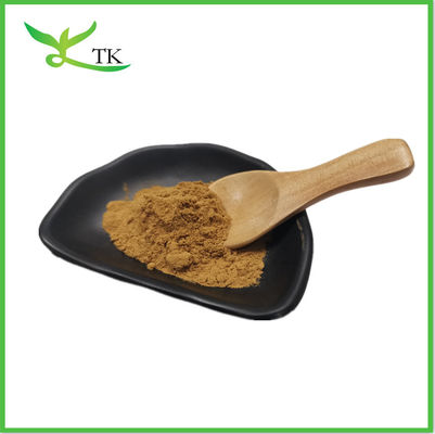 Cordyceps Sinensis 40% Polysaccharide Cordycepic Acid Cordyceps Sinensis Extract कॉर्डिसेप्स सिनेंसिस एक्सट्रैक्ट