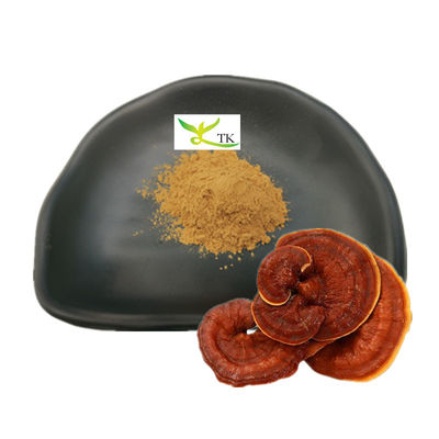 थोक Ganoderma Lucidum Extract Reishi Mushroom Extract पाउडर Polysaccharides 30%