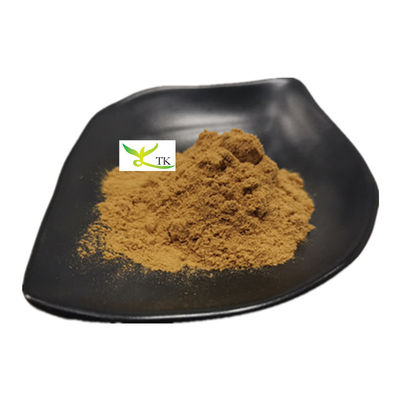 प्राकृतिक YU XING CAO Houttuynia Cordata निकालने पाउडर Heartleaf Houttuynia हर्ब निकालने पीई