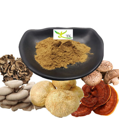 निजी लेबल टर्की पूंछ चागा कॉर्डिसैप्स मशरूम कॉफी शेर की गांठ मशरूम कॉफी पाउडर