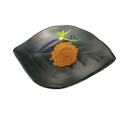 प्राकृतिक हर्बल अर्क Vitex Agnus Castus अर्क Vitex Agnus Castus पाउडर की कीमत