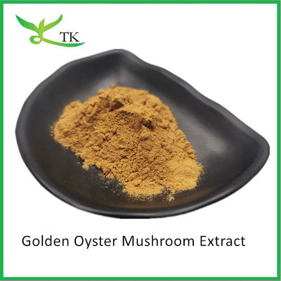 प्राकृतिक मशरूम सप्लीमेंट Pleurotus Citrinopileatus गोल्डन ऑयस्टर मशरूम एक्सट्रैक्ट पाउडर